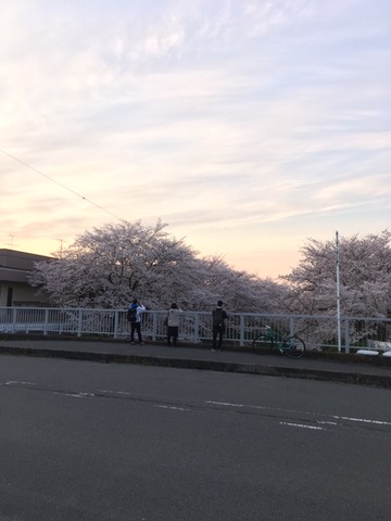 夕暮れ時撮り時4.2