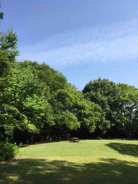 999DEA19-B534-4909-83D0-209AA0427B57