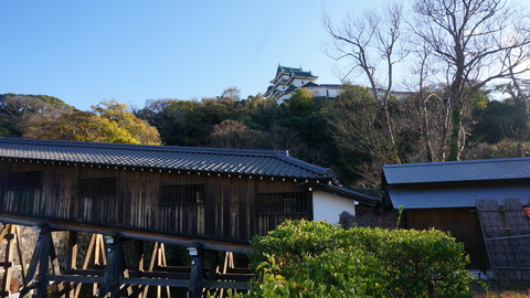 DSC01023