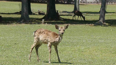 7163FE60-617C-466B-816A-E7D6D38C116C