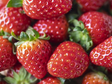 20250217-_2171251-強化-NR