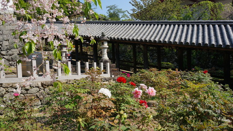 DSC01771