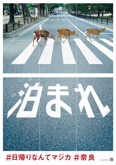 画像 3