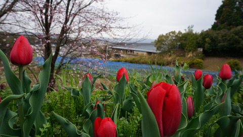 DSC01507