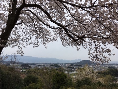 葛城山二上山畝傍山3.30