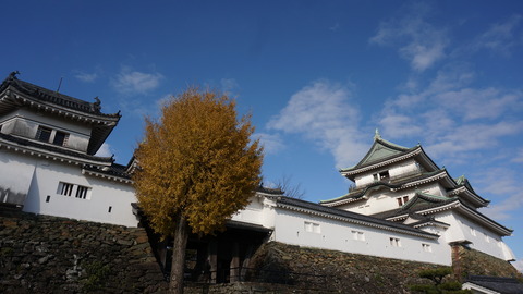 DSC01006