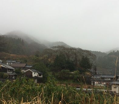 南淵請安先生の墓