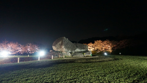 DSC01360