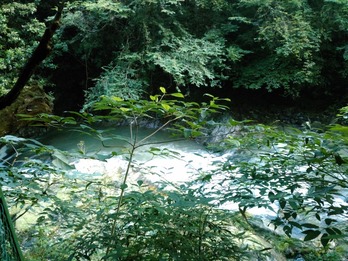 200717ζ��΢1