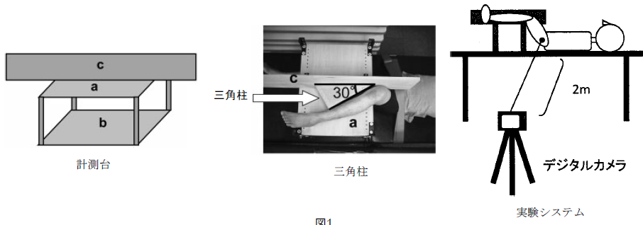 抄読 健常人における股関節外旋筋群が股関節屈曲に及ぼす影響 ワイのリハメモ