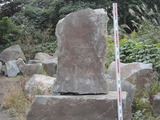 DSC07661