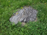 DSC02553