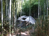 DSC00833