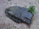 DSC00906