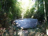 DSC00829