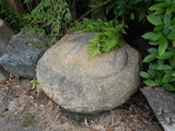 DSC02235