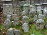 DSC00858