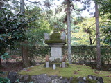 DSC00852