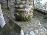 滋賀