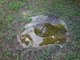 DSC02580