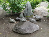 DSC02533