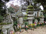 滋賀