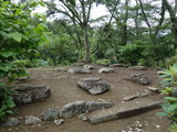 DSC02522