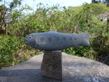 DSC04213