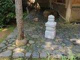 IMG_8304