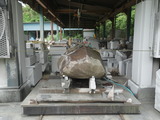 DSC08156