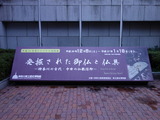 DSC01237