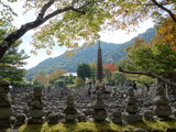 DSC00864