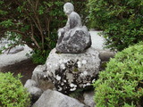 DSC02534
