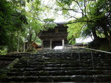 DSC02595
