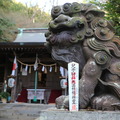 IMG_1201