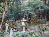 DSC00940