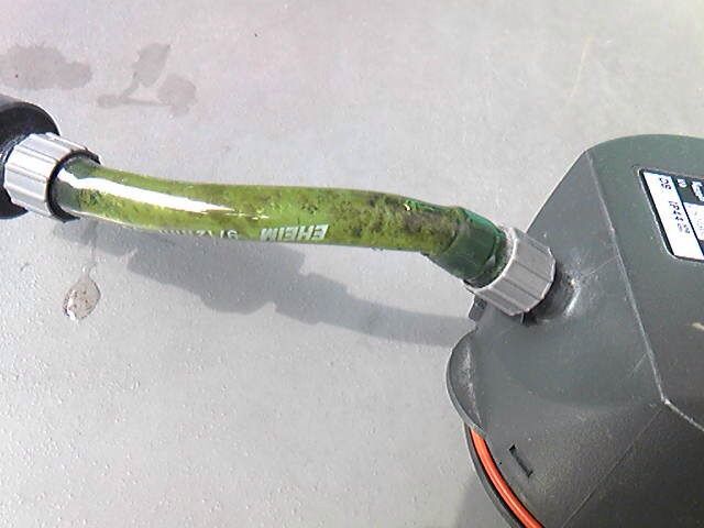 エーハイム２２１１のガラガラ音 水槽日記 Kamehinaoのお気楽日記３