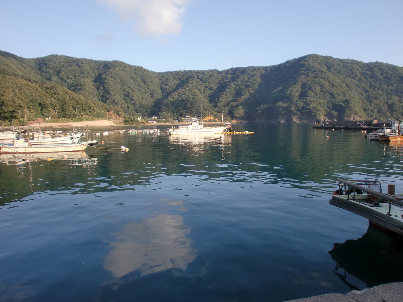 神子漁港で釣行 岐阜県海釣り研究会 亀組 神子漁港で釣行 岐阜県海釣り研究会 亀組