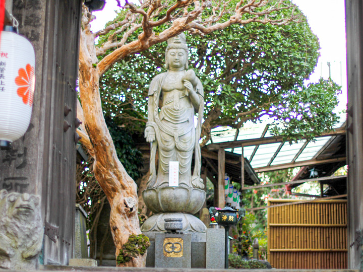 奈良弘願寺2-2