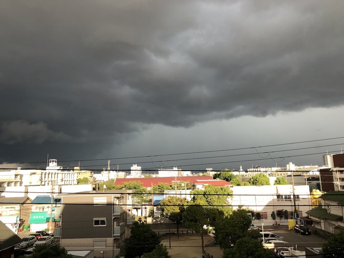 20190904_081438746_iOS