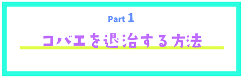 blog_20220625_6_0