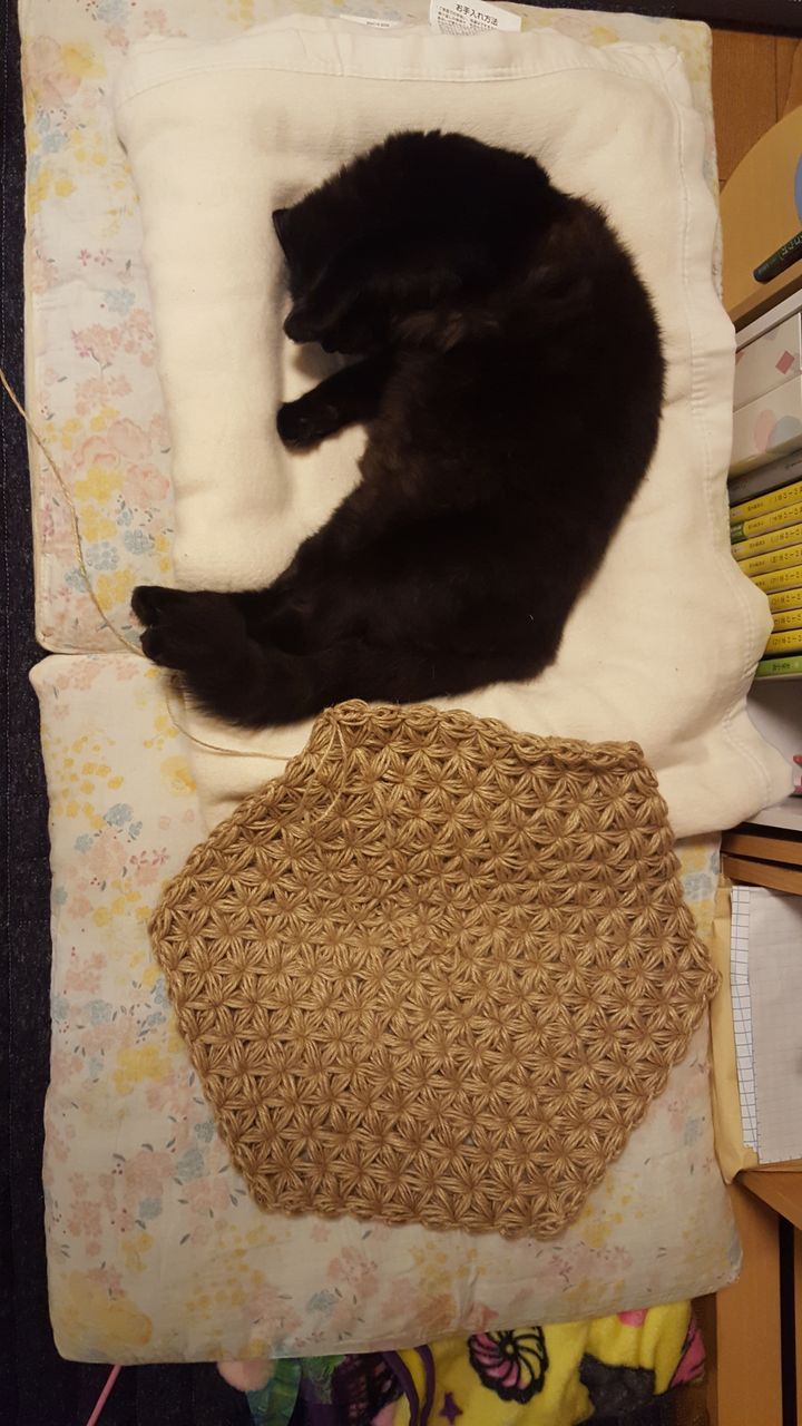 猫ちぐらを編みたい 底 暇だからマルマル 猫ちぐらを編みたい 底 暇だからマルマル
