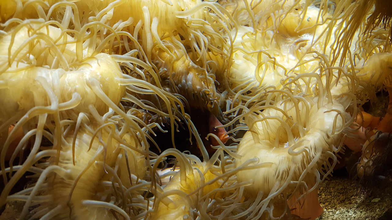 ばさら邸にお泊まり 志摩マリンランド 暇だからマルマル