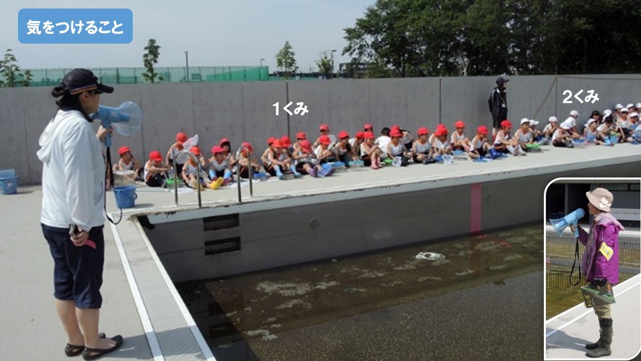 牧の原小学校 プールの生き物救出 亀成川を愛する会