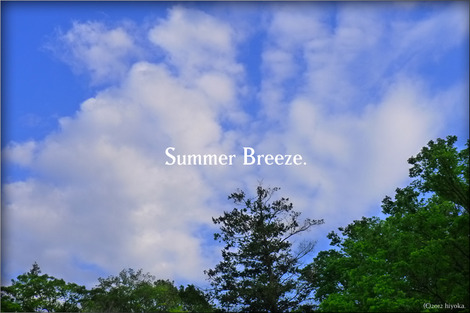 SummerBreeze