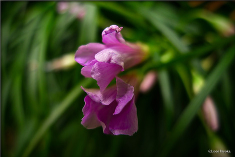 P1150083