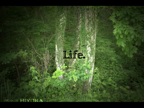 life