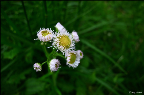 P1110656