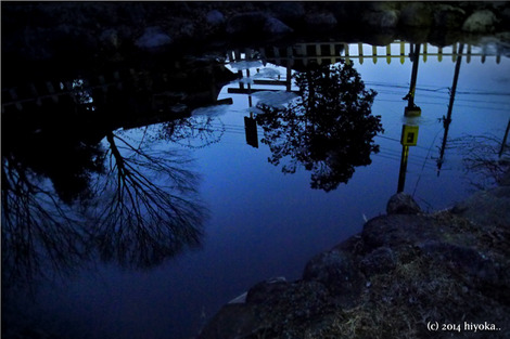 pond
