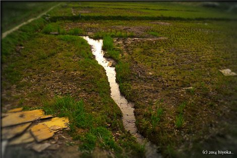 field